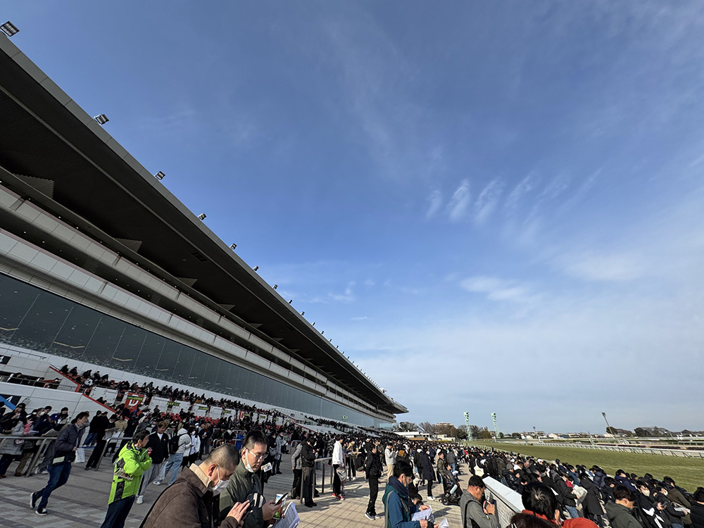 中山競馬場