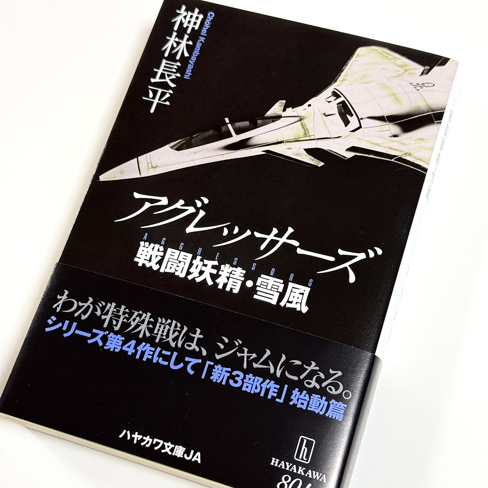 アグレッサーズ 戦闘妖精・雪風