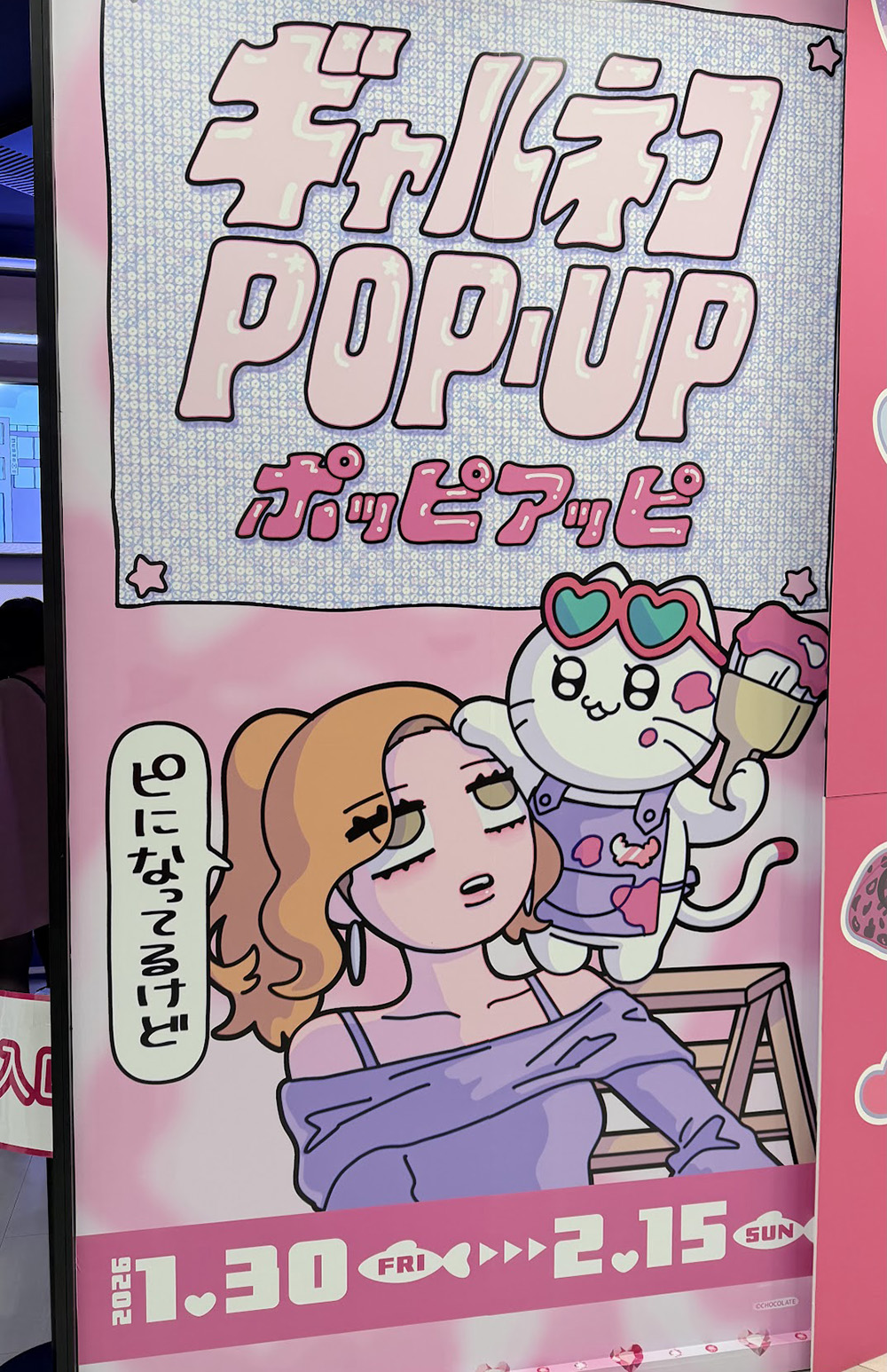ギャルネコ