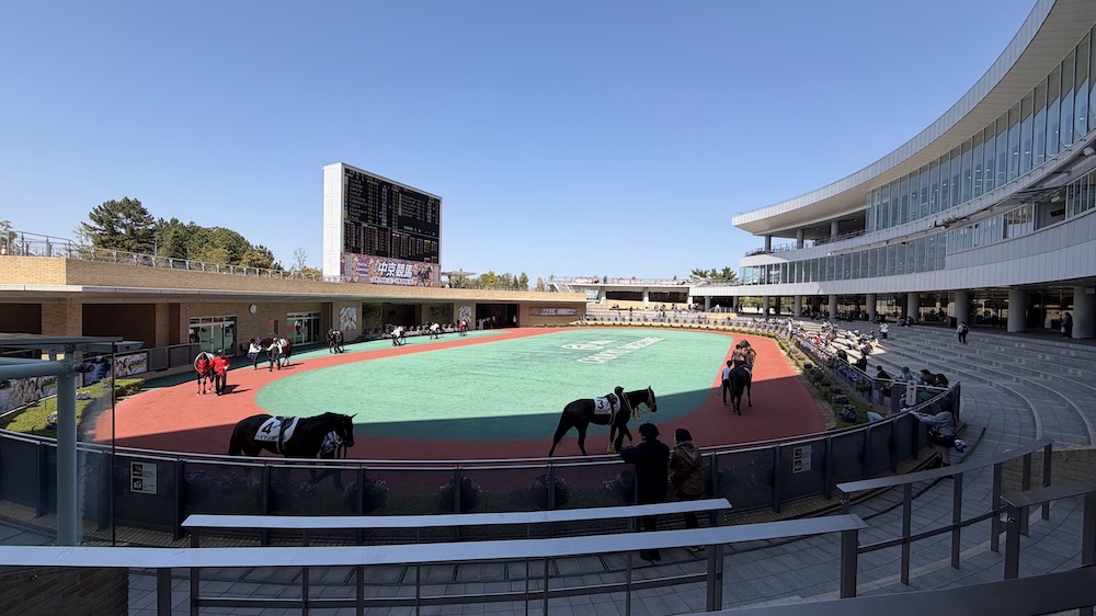 中京競馬場