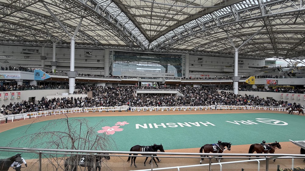 阪神競馬場